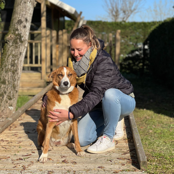 Le Port de Moricq camping en vendée 3 étoiles, vous accueille toute l'année avec votre chien dans un envionnement calme et convivial. À quelques pas du camping, découvrez les belles plages de la Tranche sur mer.