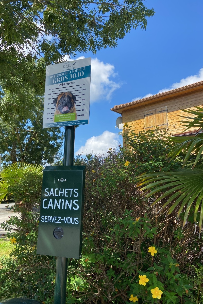 sachets-canins-camping-qui-accepte-les-chiens-le-port-de-moricq