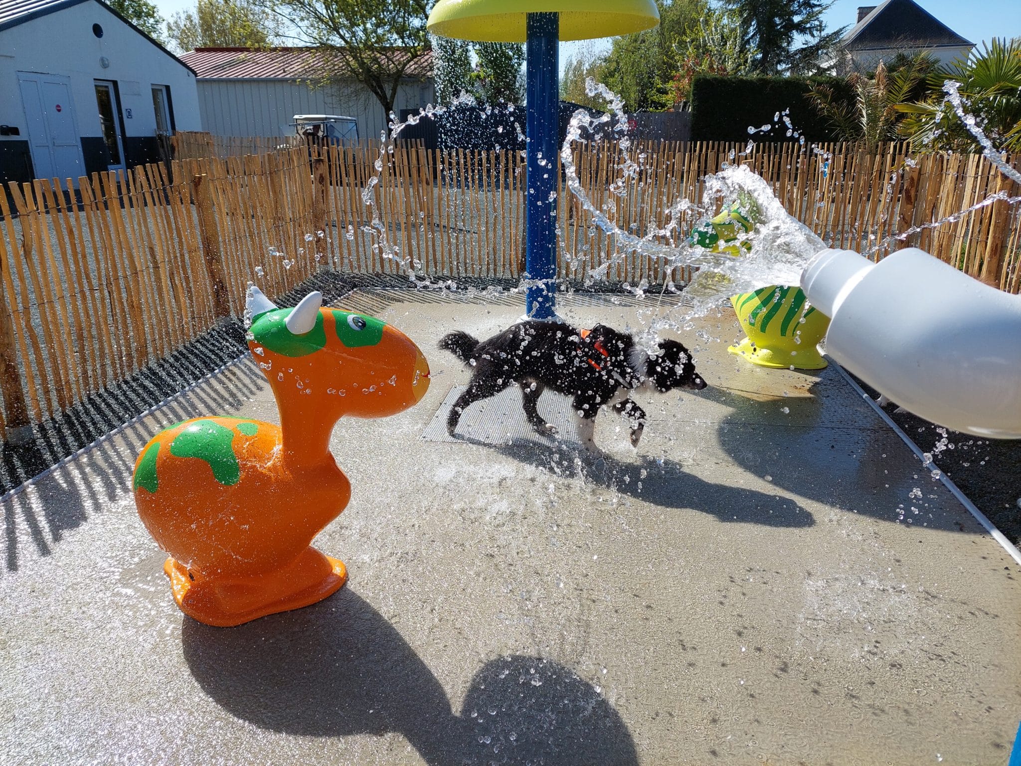 Le Port de Moricq le camping qui accepte les chiens et les chouchoute