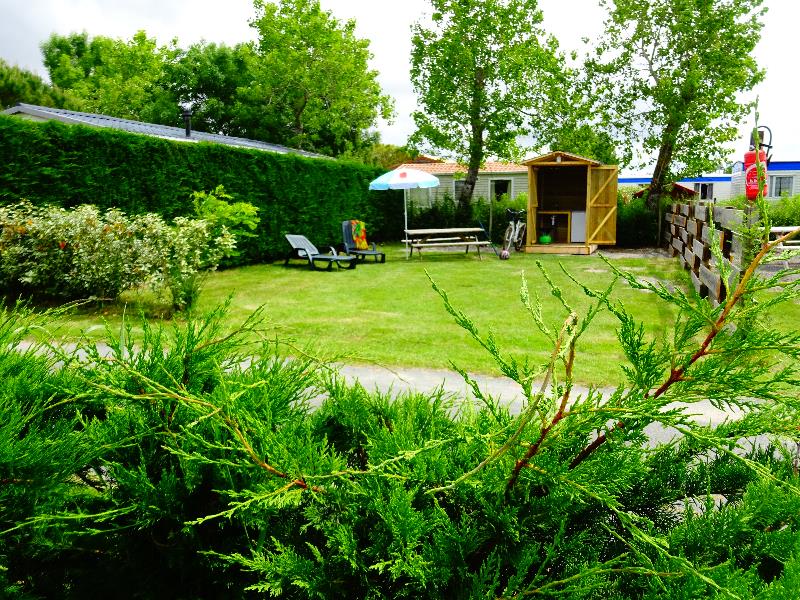 PREMIUM pitch + 2 people + 1 car + electricity