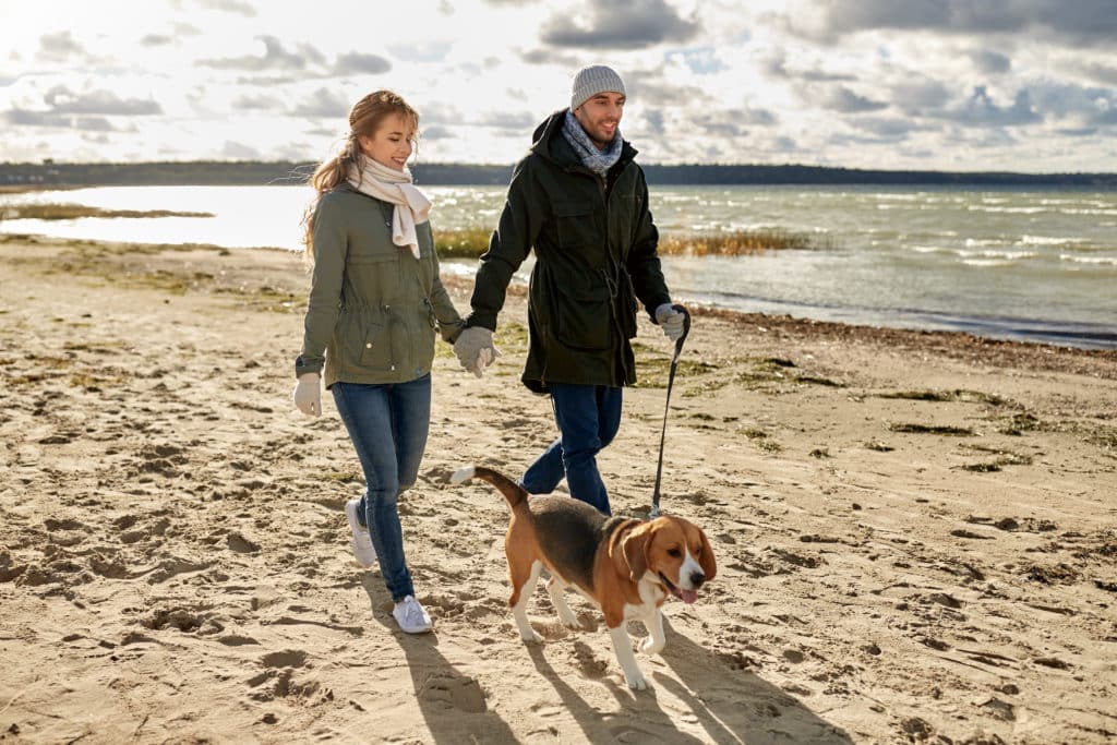 Couple marchant avec chien sur plage ensoleillée