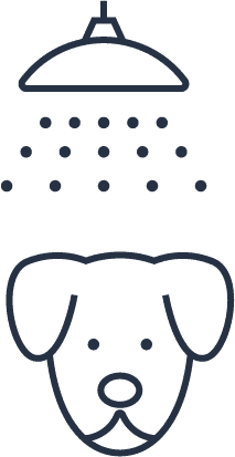 Symbole lavage chien sous douche