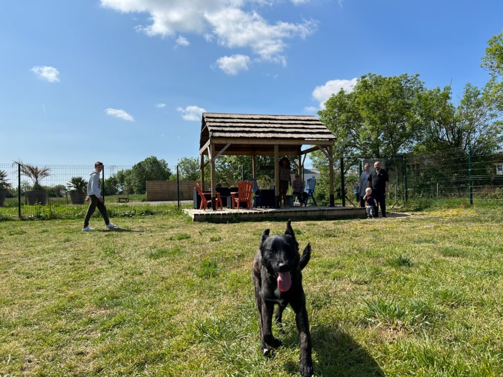 Chien noir courant sur l'herbe devant une pergola.