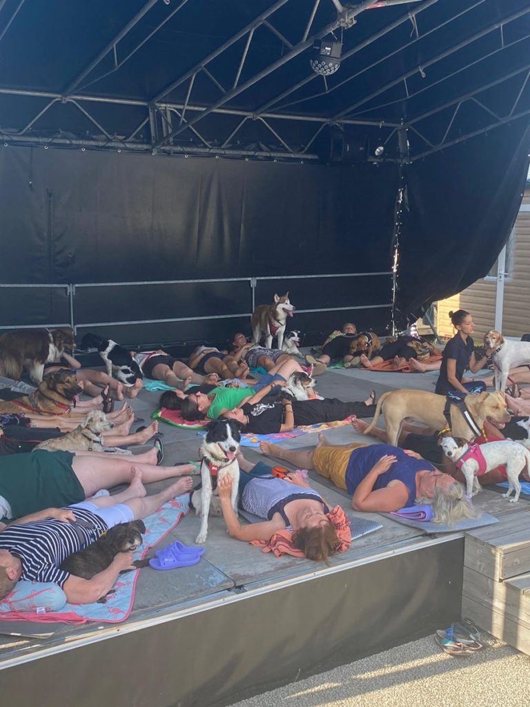 Groupe de personnes et chiens faisant du yoga ensemble.