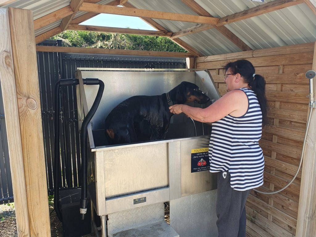 Femme lavant un chien dans une station de lavage.