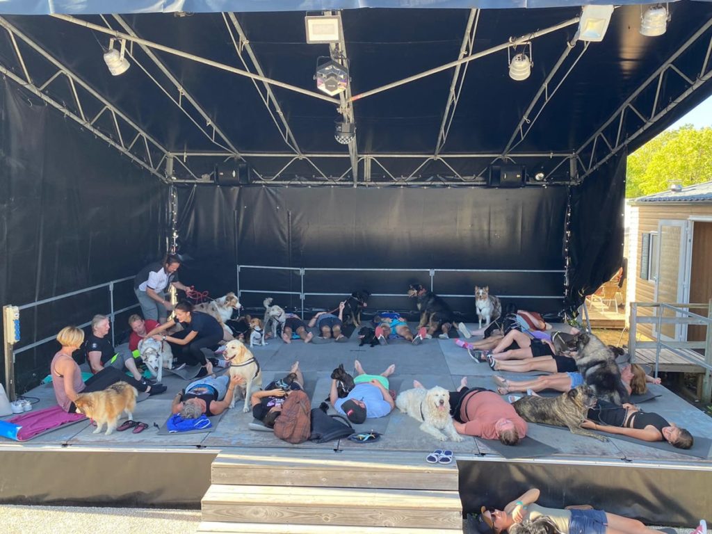Séance de yoga avec des chiens sur scène.