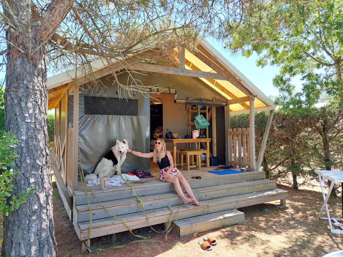 Tented vacations with dog under the trees