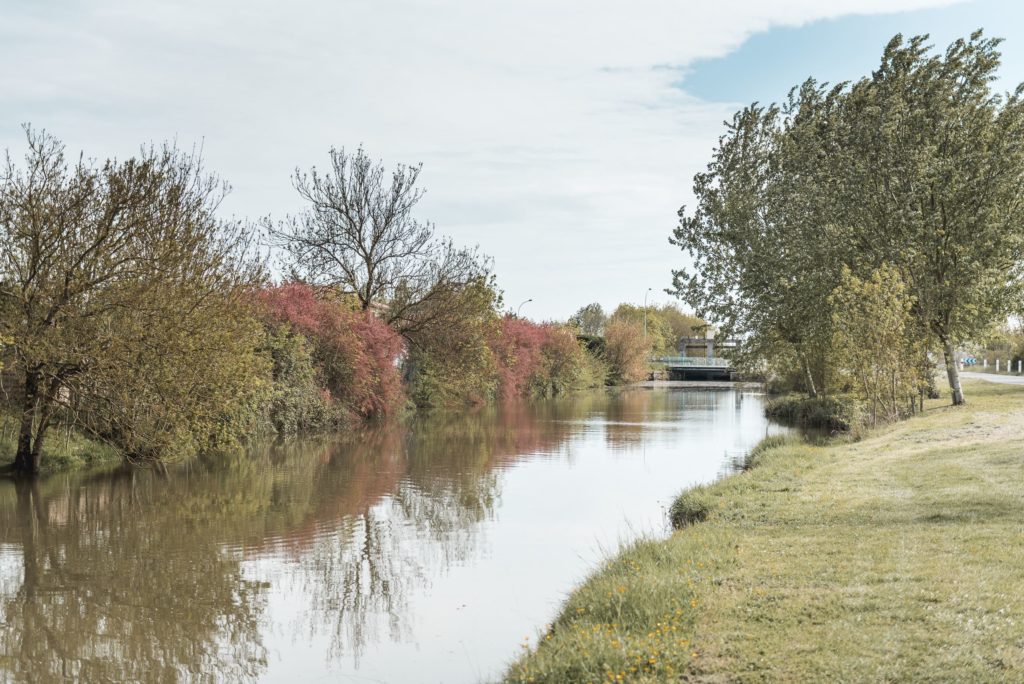 Rivière bordée d'arbres et ciel nuageux