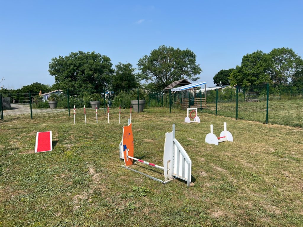 Parcours d'agilité pour chiens en plein air