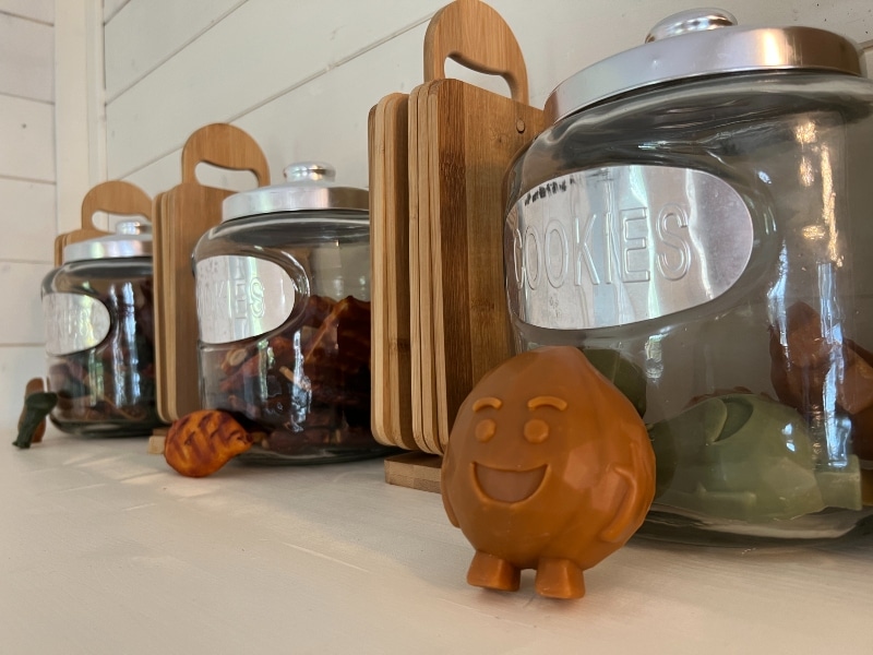 Bocaux à biscuits sur une étagère en cuisine.