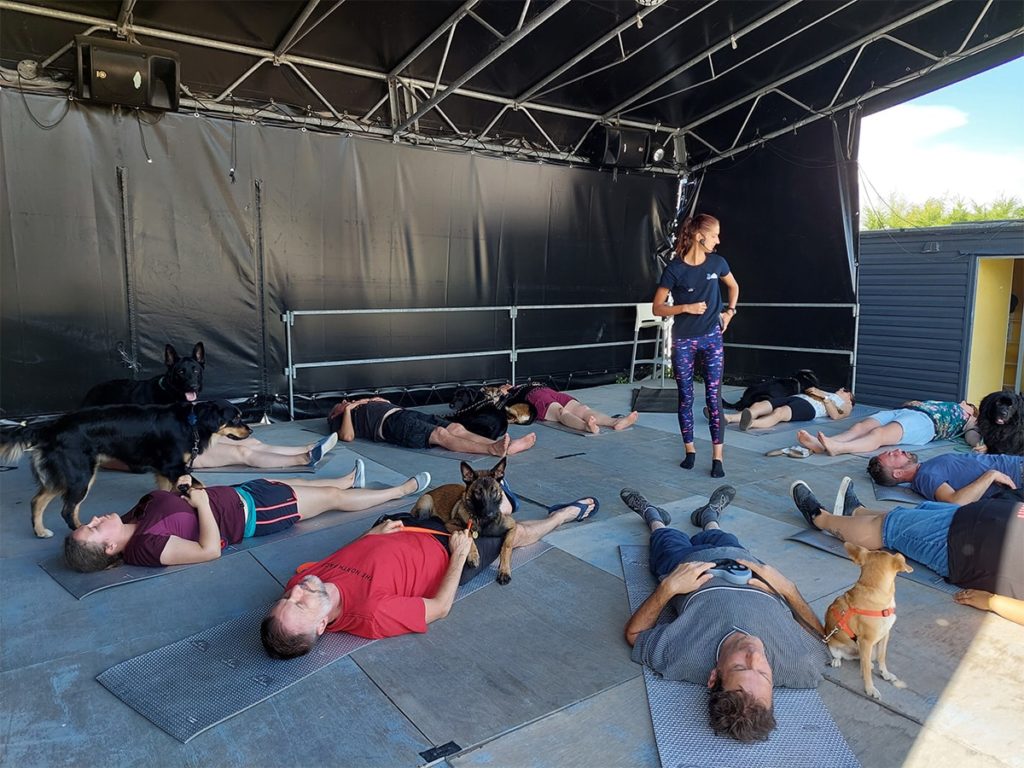 Yoga en groupe avec des chiens sur scène.