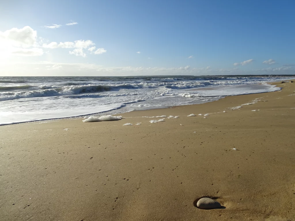 Plage sableuse avec vagues et ciel bleu