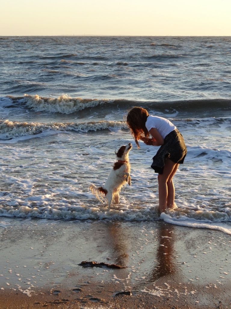 Femme et chien jouant sur la plage au coucher.