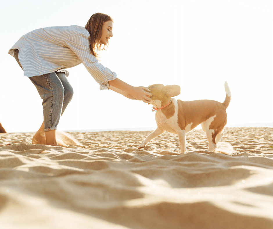 Femme joue avec chien sur la plage ensoleillée.