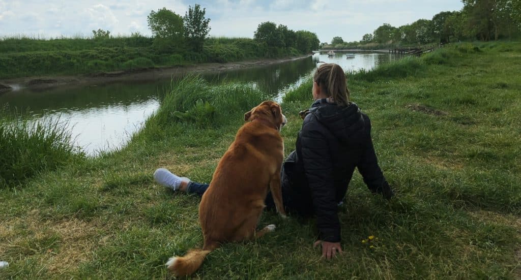 Activités et sorties pour chien au camping Le Port de Moricq en Vendée