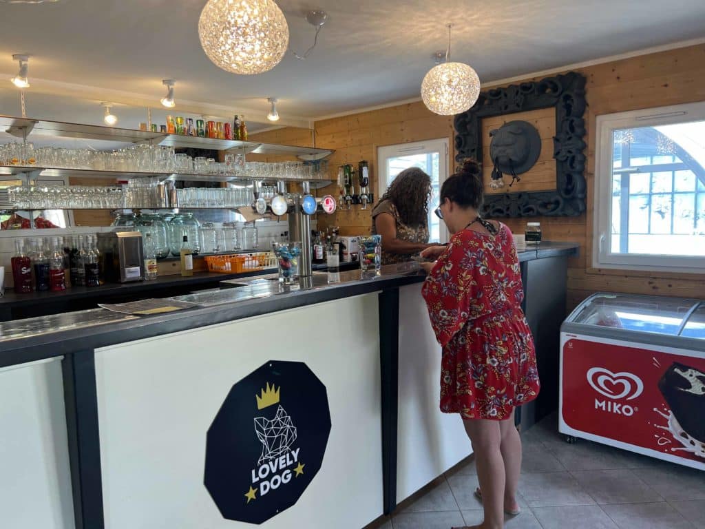 Deux femmes au bar Lovely Dog, intérieur moderne.