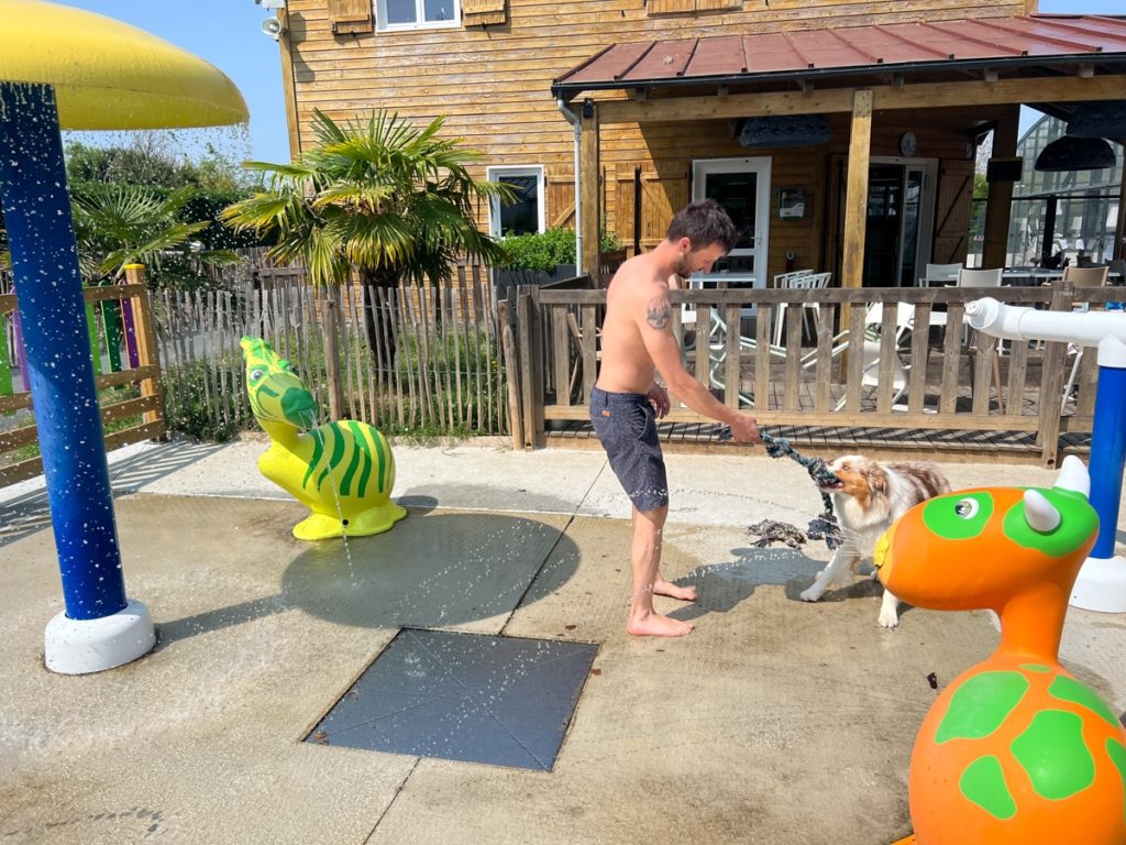 Homme jouant avec chien près des jeux d'eau.