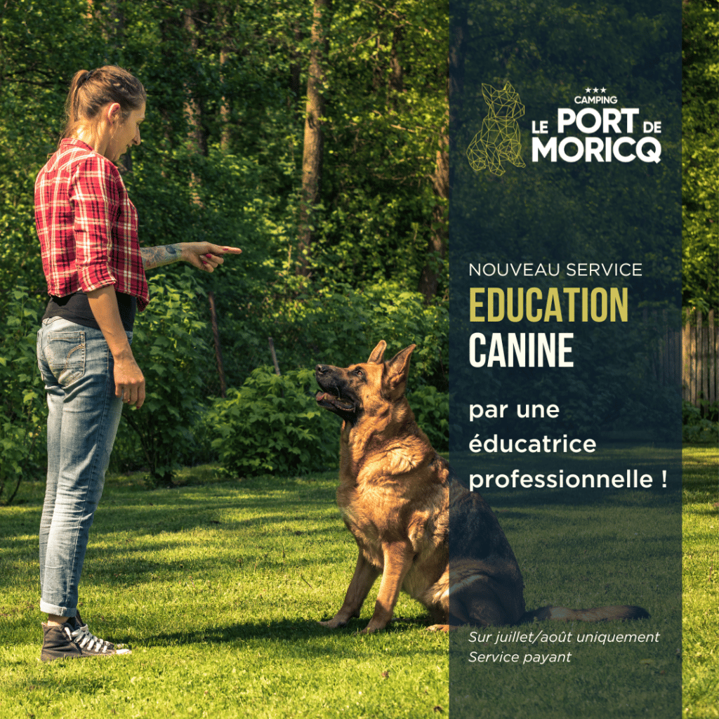 Formation canine estivale au camping Le Port de Moricq.