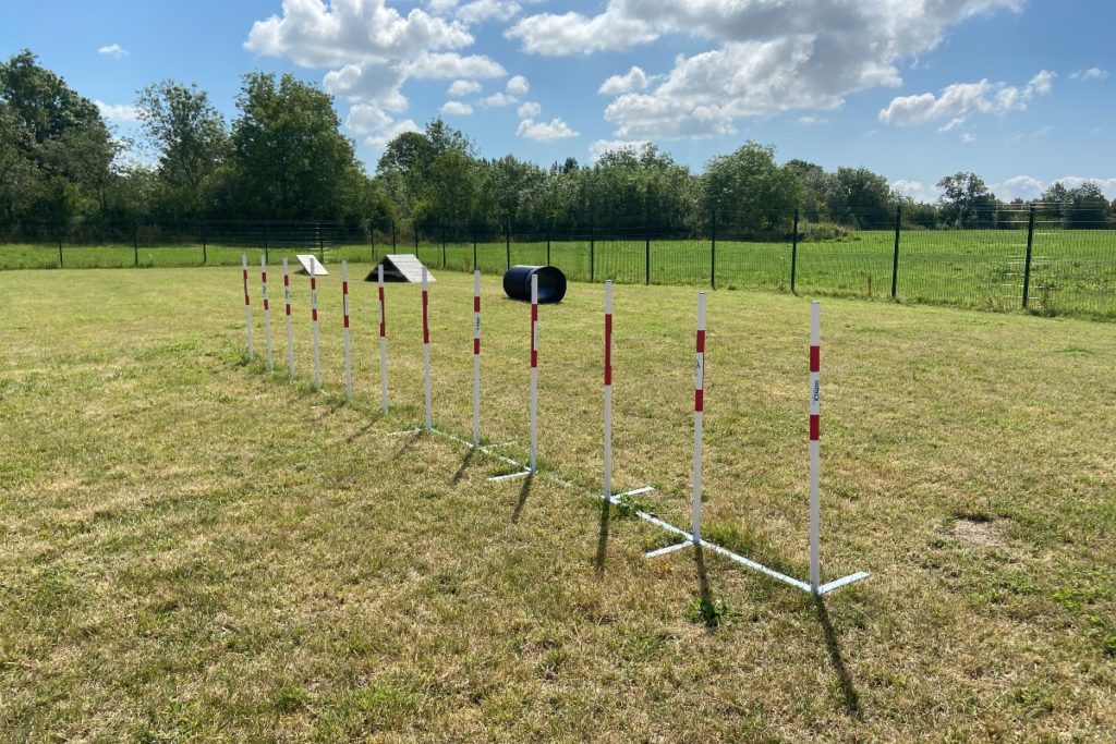 Parcours d'entraînement d'agilité pour chiens extérieur