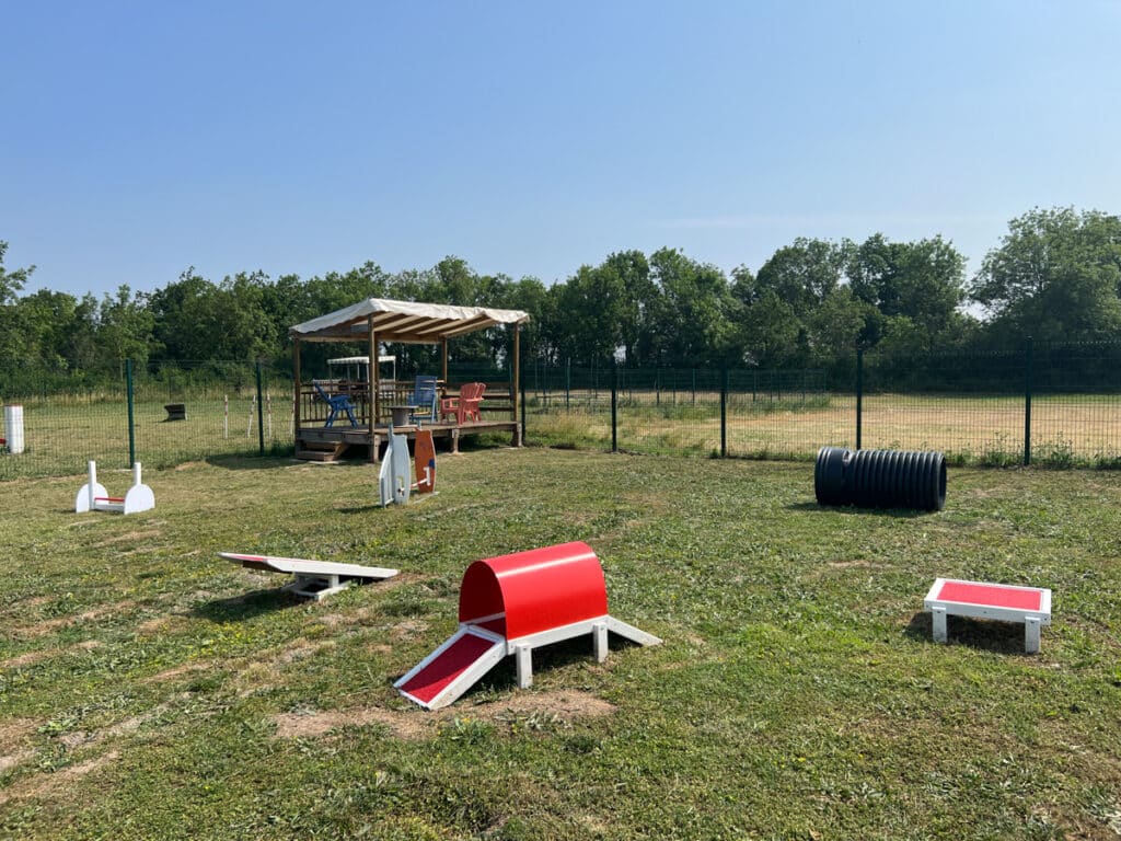 Parcours d'agilité pour chiens en plein air.
