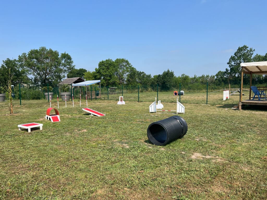 Parcours d'agilité pour chiens en extérieur.