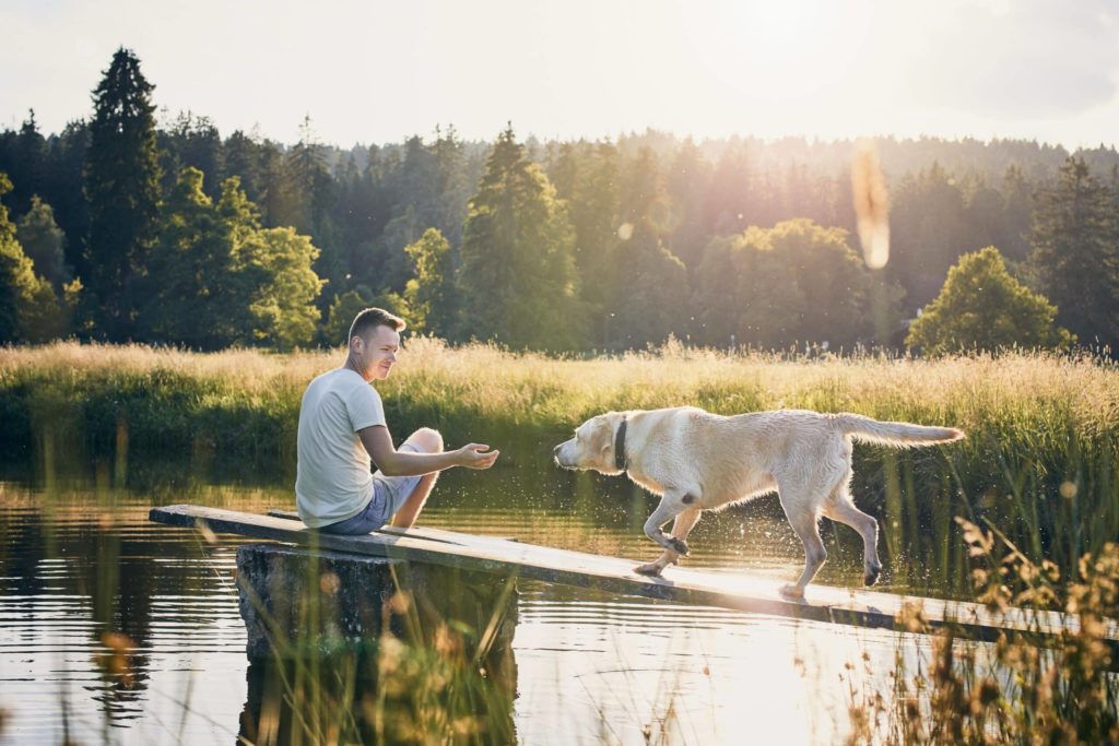Homme et chien près d'un lac ensoleillé