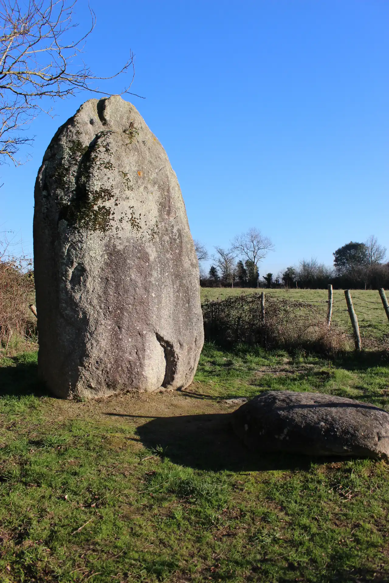 Le menhir de la Boilière situé à l'est d'Avrillé dans le Sud de la Vendée
