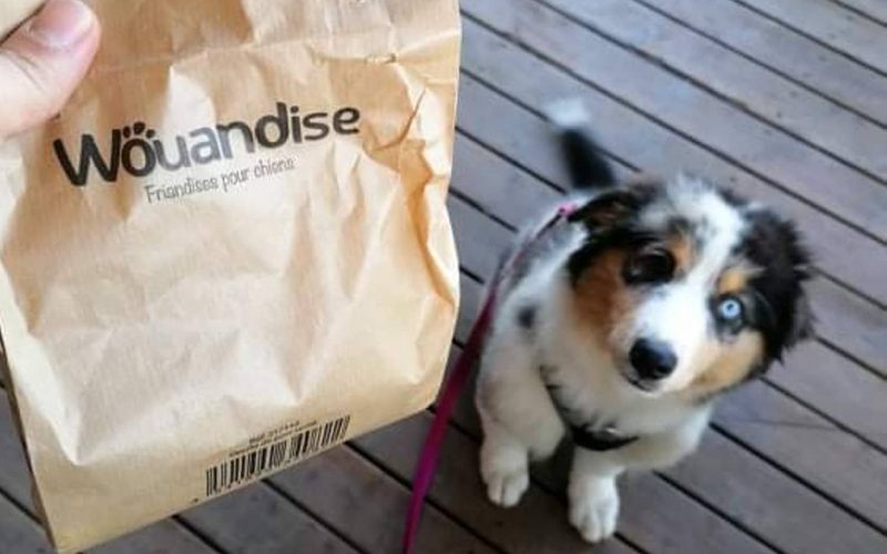 se-restaurer-snack-chiens-camping-le-port-de-moricq se-restaurer-snack-chiens-camping-le-port-de-moricq