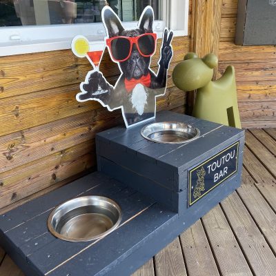 toutoubar-camping-avec-chien-le-port-de-moricq